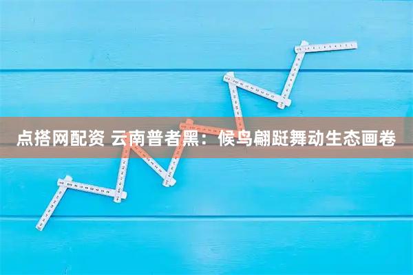 点搭网配资 云南普者黑：候鸟翩跹舞动生态画卷