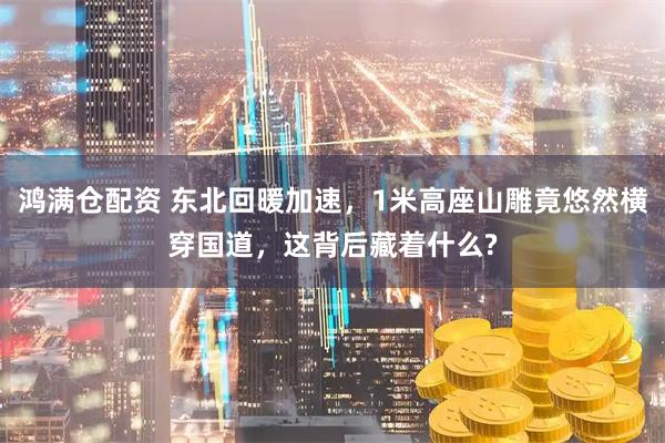 鸿满仓配资 东北回暖加速，1米高座山雕竟悠然横穿国道，这背后藏着什么?