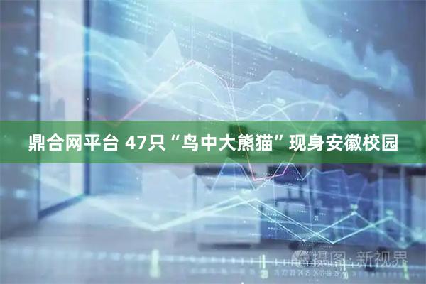 鼎合网平台 47只“鸟中大熊猫”现身安徽校园